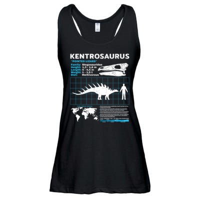 Kentrosaurus Fact Sheet Dinosaur Facts Ladies Essential Flowy Tank