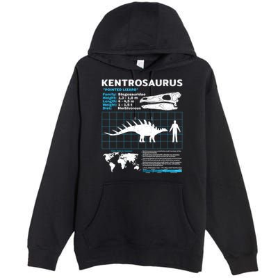 Kentrosaurus Fact Sheet Dinosaur Facts Premium Pullover Hoodie