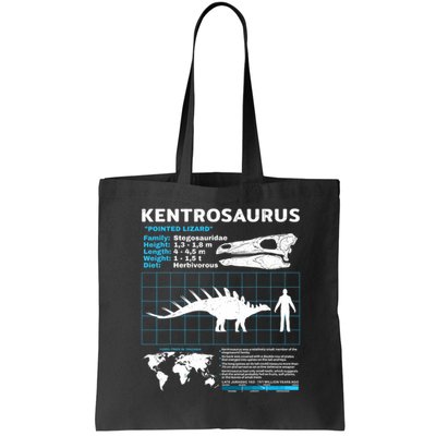 Kentrosaurus Fact Sheet Dinosaur Facts Bag
