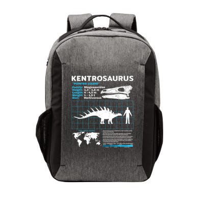 Kentrosaurus Fact Sheet Dinosaur Facts Vector Backpack