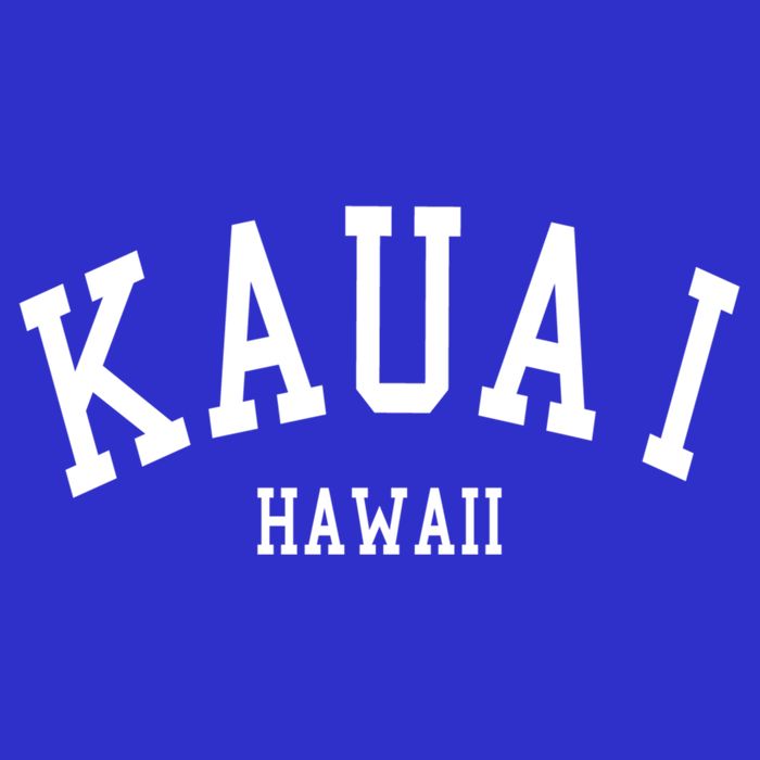 Kauai Gift Aloha Hawaii Tribe Beach Gift 16 in Basic Backpack