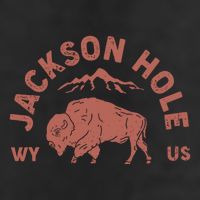 Keep Groovyjackson Hole Wyoming Mountain Adult Drive Performance Visor