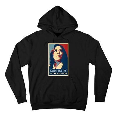 Kamala Harris 2024 Kamistry Is The Solution Cat Ladies Hope Hoodie