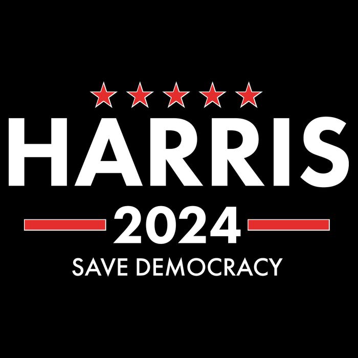 Kamala Harris 2024 Save Democracy Wool Snapback Cap