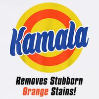 Kamala Harris 2024 Removes Stubborn Stains Funny Baby Bodysuit