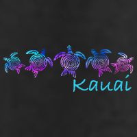 Kauai Hawaii Beach Design Tribal Turtle Gift 7 Panel Mesh Trucker Snapback Hat