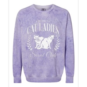 Kamala Harris Childless Cat Ladies Social Club Cat Lover Colorblast Crewneck Sweatshirt