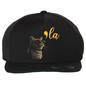 Kamala Harris Cat Lettering Alphabet Cat Lady Wool Snapback Cap