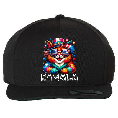 Kamala Harris Cat Lettering Funny President Kamala 2024 Cat Gift Wool Snapback Cap