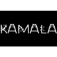 Kamala Harris Cat Lettering Positive Bumper Sticker