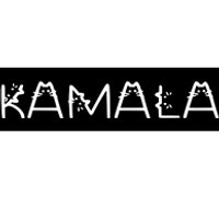 Kamala Harris Cat Lettering Positive Bumper Sticker