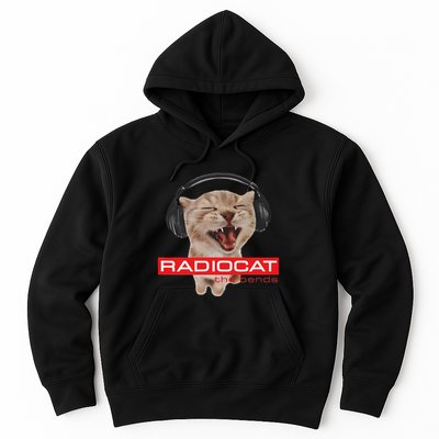 Kitten Headphones Cat Tech House Music Funny Cat Lover Hoodie