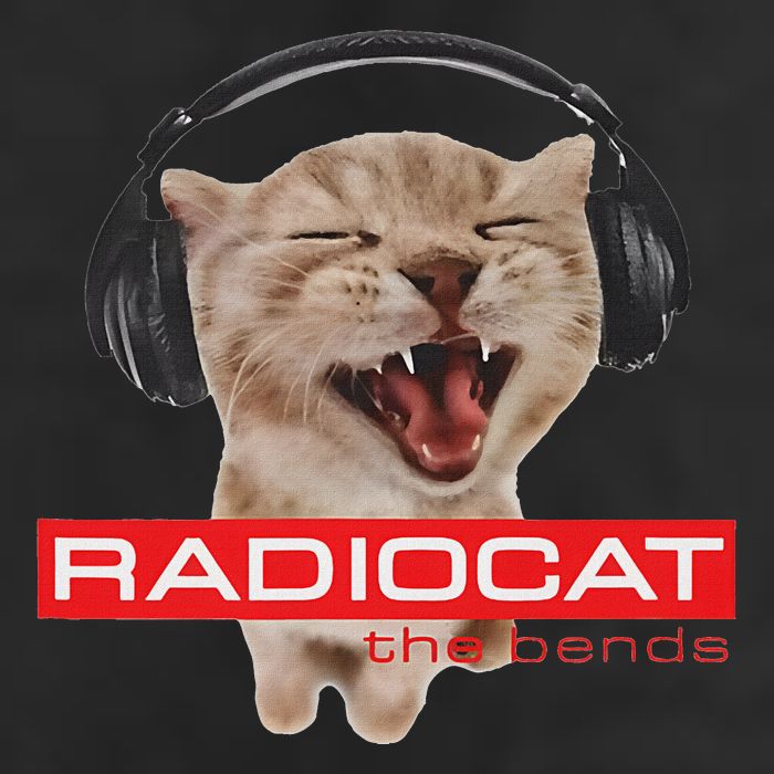 Kitten Headphones Cat Tech House Music Funny Cat Lover Adult Drive Performance Visor