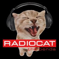 Kitten Headphones Cat Tech House Music Funny Cat Lover Cooling Performance Long Sleeve Crew