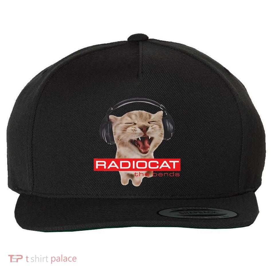 Kitten Headphones Cat Tech House Music Funny Cat Lover Wool Snapback Cap