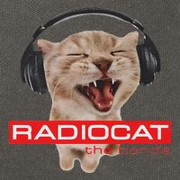Kitten Headphones Cat Tech House Music Funny Cat Lover Cotton Canvas Backpack