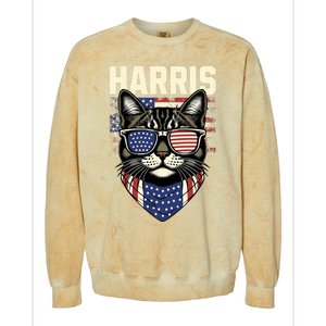 Kamala Harris For President 2024 Funny Cat Lady Graphic Colorblast Crewneck Sweatshirt