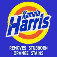 Kamala Harris Funny Detergent Removes Stubborn Orange Stains Cool Gift Poster