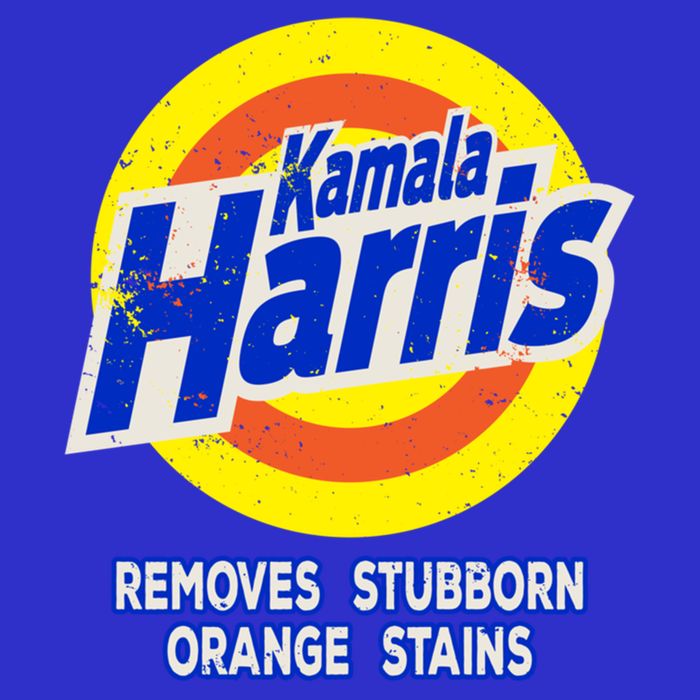 Kamala Harris Funny Detergent Removes Stubborn Orange Stains Cool Gift Poster