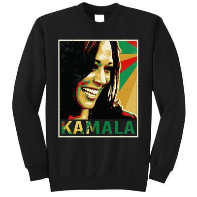 Kamala Harris For President 2024 Funny Cat Lady Graphic Sweatshirt