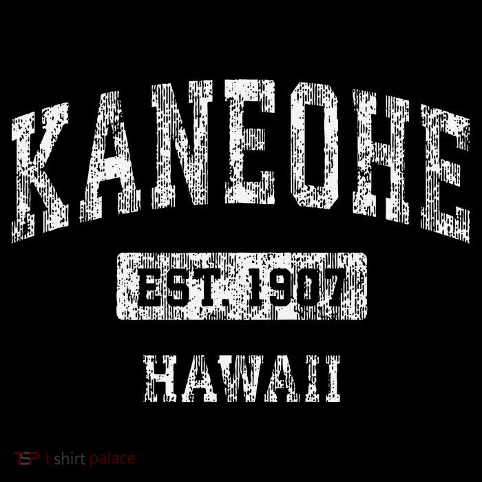 Kaneohe Hawaii Hi Vintage Established Tall T-Shirt