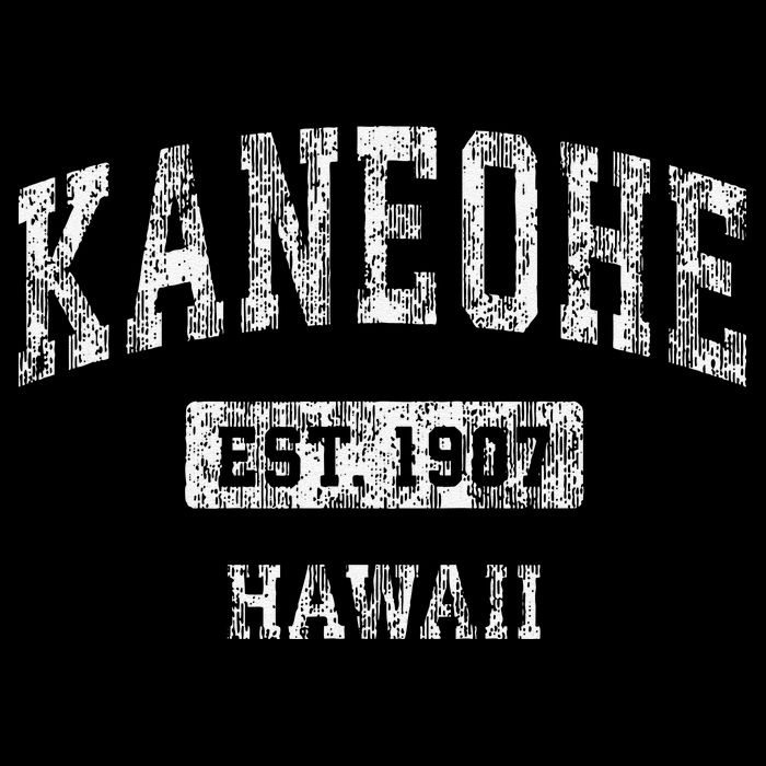 Kaneohe Hawaii Hi Vintage Established Visor