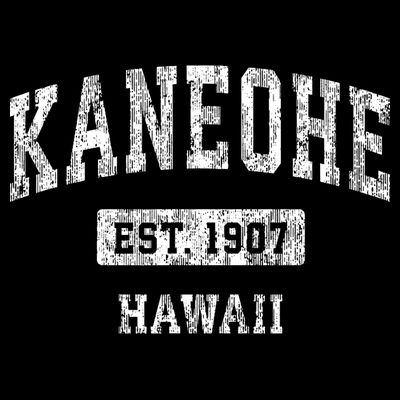 Kaneohe Hawaii Hi Vintage Sports Established T-Shirt