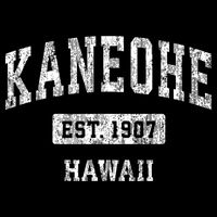 Kaneohe Hawaii Hi Vintage Sports Established Tall T-Shirt