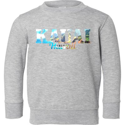 Kauai Hawaii Hawaiian Islands Surf Surfing Surfer Gift Cute Gift Toddler Sweatshirt