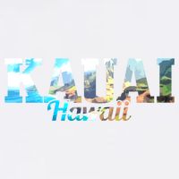 Kauai Hawaii Hawaiian Islands Surf Surfing Surfer Gift Cute Gift Flat Bill Trucker Hat