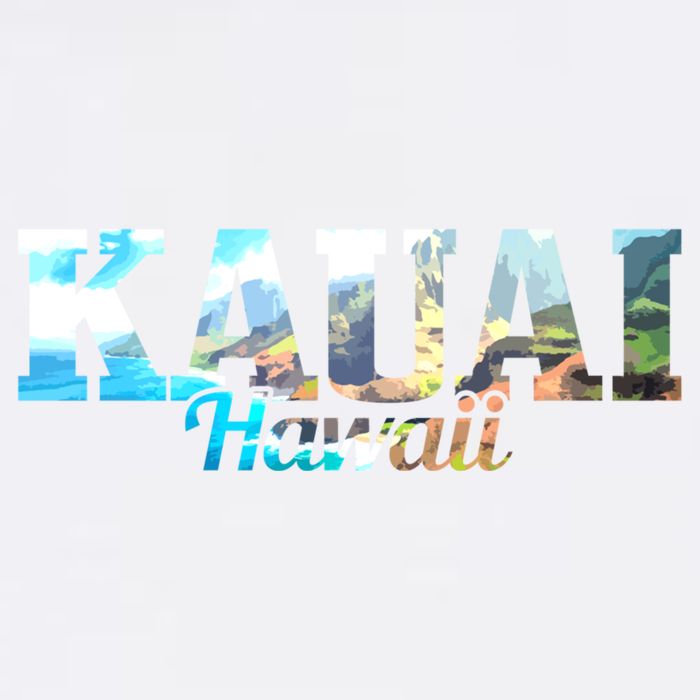 Kauai Hawaii Hawaiian Islands Surf Surfing Surfer Gift Cute Gift Flat Bill Trucker Hat