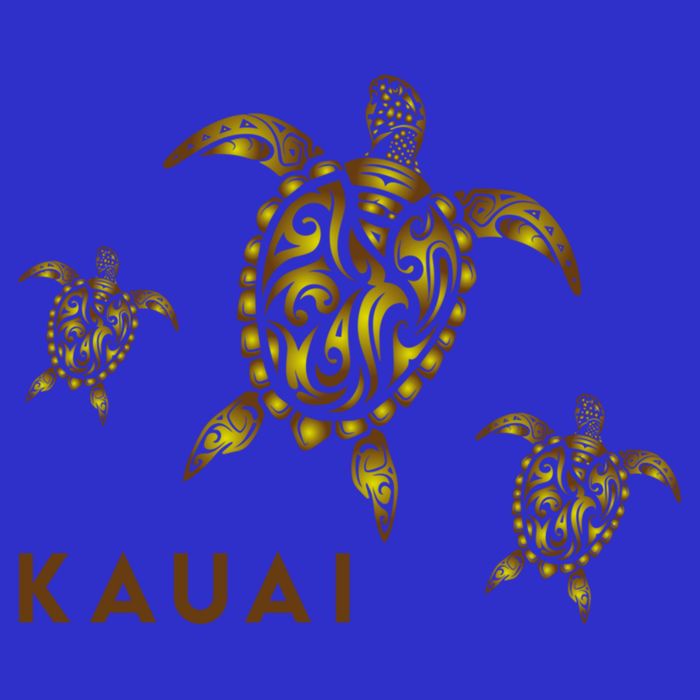 Kauai Hawaiian Island Tribal Turtle Family Hawaii Vacation Gift Kids T-Shirt