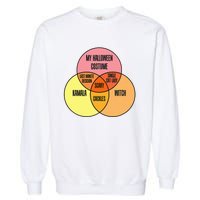 Kamala Harris Lazy Halloween Costume Venn Diagram Funny 2024 Garment-Dyed Sweatshirt