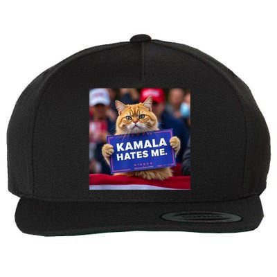 Kamala Hates Me Funny Political Saying Cat Lover Wool Snapback Cap