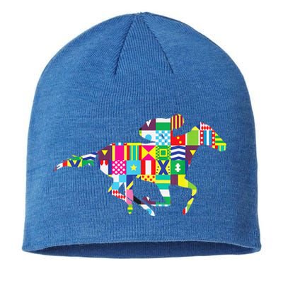 Kentucky Horse Racing Silks Sustainable Beanie