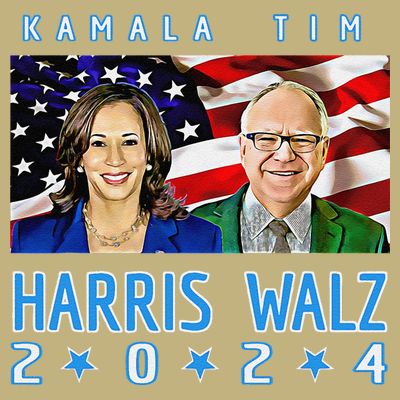 Kamala Harris Tim Walz The 2024 Democratic Party Nov 5 Win T-Shirt