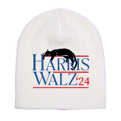 Kamala Harris Tim Walz Funny Cute Cat Election Graphic Short Acrylic Beanie