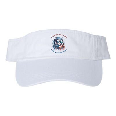 Kamala Harris Walz 2024 Cute Cat Valucap Bio-Washed Visor