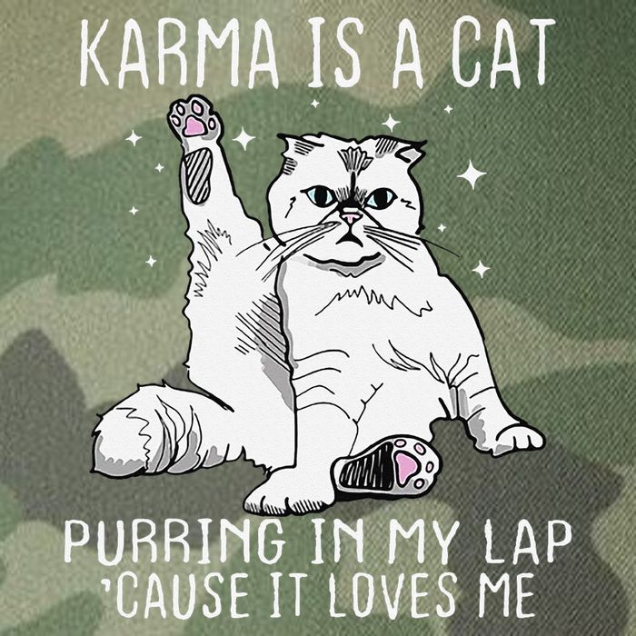 Karma is a Cat Purring in My Lap Cause It's Loves Me Legacy Tie Dye Trucker Hat