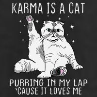 Karma is a Cat Purring in My Lap Cause It's Loves Me Adult Drive Performance Visor