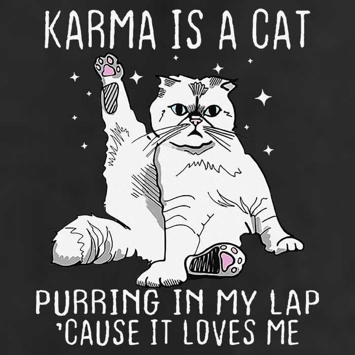Karma is a Cat Purring in My Lap Cause It's Loves Me Adult Drive Performance Visor