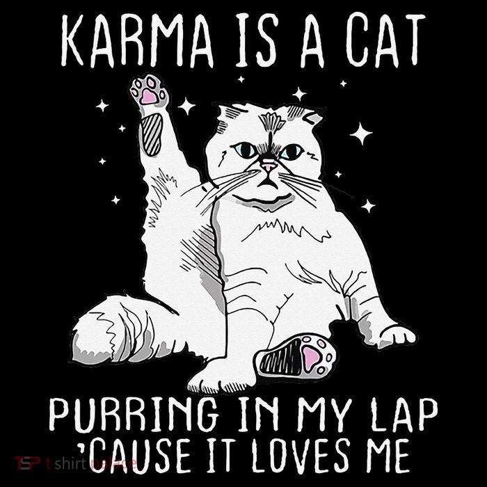Karma is a Cat Purring in My Lap Cause It's Loves Me Drawstring Bag