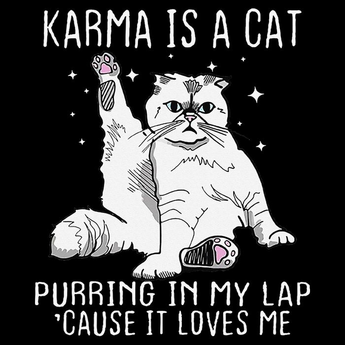 Karma is a Cat Purring in My Lap Cause It's Loves Me PosiCharge Competitor Tank