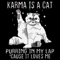 Karma is a Cat Purring in My Lap Cause It's Loves Me Toddler T-Shirt