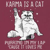 Karma is a Cat Purring in My Lap Cause It's Loves Me 16oz Travel Tumbler