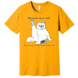 Karma Is A Cat Purring In My Lap Cause It Loves Me Cat Love Premium T-Shirt