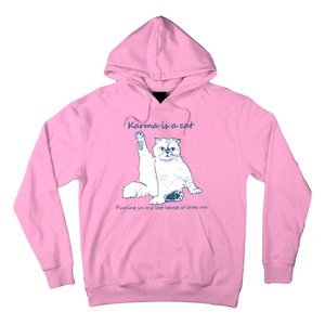 Karma Is A Cat Purring In My Lap Cause It Loves Me Cat Love Hoodie