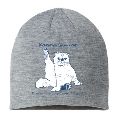 Karma Is A Cat Purring In My Lap Cause It Loves Me Cat Love Sustainable Beanie