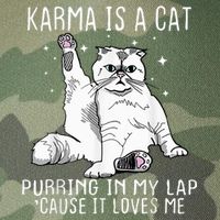 Karma Is A Cat Purring In My Lap Cause Its Loves Me Legacy Tie Dye Trucker Hat
