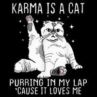 Karma Is A Cat Purring In My Lap Cause Its Loves Me Youth Performance Sprint T-Shirt